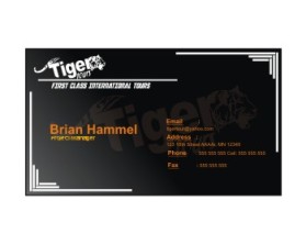 Tiger Tours entry by "3dhe"