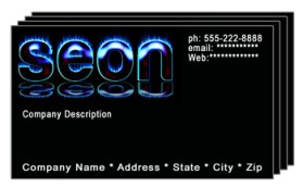 Seon, LLC entry by mygreenday69