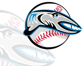Jax Beach Baseball Association entry by Chad Anderson