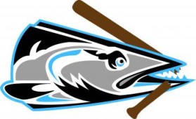 Jax Beach Baseball Association entry by Joanne Yip