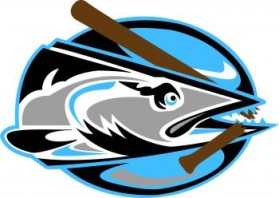 Jax Beach Baseball Association entry by Joanne Yip