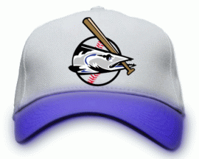 Jax Beach Baseball Association entry by Chad Anderson