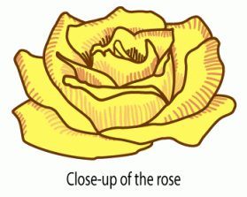 The Barbed Rose Steakhouse and Seafood Co. entry by Nancy Ibsen