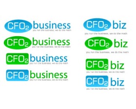 www.cfo2.biz entry by abed_ghat