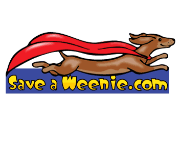 winning Logo Design entry by john12343