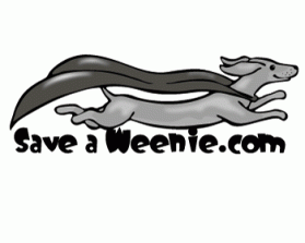 SAVEaWeenie.com entry by John Doe
