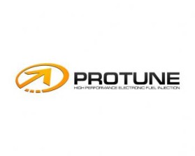 ProTune LLC entry by palm-boy