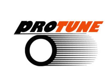 Logo Design entry 164118 submitted by gozzi to the Logo Design for ProTune LLC run by ProTune