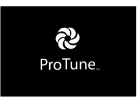 ProTune LLC entry by stuner94