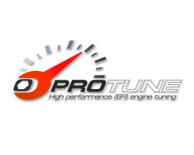 ProTune LLC entry by logoguy