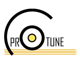 ProTune LLC entry by creative.mind