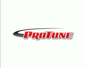 ProTune LLC entry by graphica