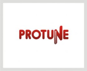 ProTune LLC entry by engleeinter