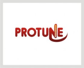 ProTune LLC entry by engleeinter