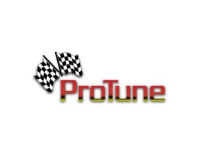 ProTune LLC entry by dont-flinch