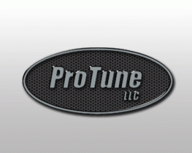 ProTune LLC entry by maxhash