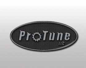 ProTune LLC entry by maxhash
