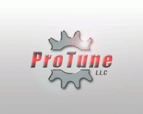 ProTune LLC entry by maxhash