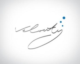 Velocity, Inc. entry by momonzie