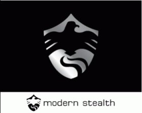 Modern Stealth entry by Violet