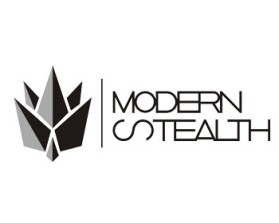 Modern Stealth entry by TaulantSulko