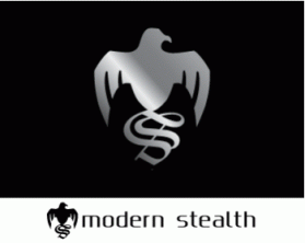Modern Stealth entry by Violet