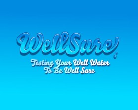 Well Sure  entry by TOPOFMIND