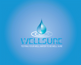 Well Sure  entry by traceygl