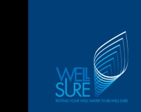 Well Sure  entry by TOPOFMIND