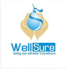 Well Sure  entry by arkvisdesigns