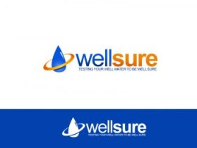 Well Sure  entry by werd