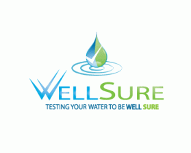Well Sure  entry by traceygl