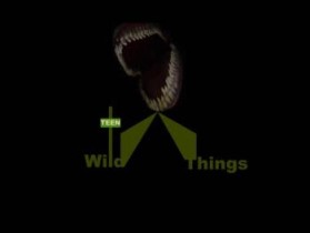 Wild Things entry by laith