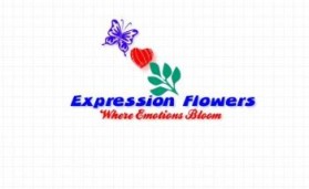 Expression Flowers entry by laith