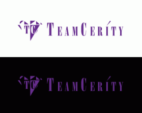 TeamCerity entry by graphica