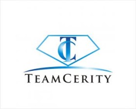 TeamCerity entry by newbie