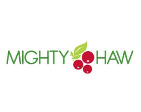 Mighty Haw entry by NYdesigner