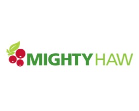 Mighty Haw entry by NYdesigner
