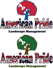 Logo Design entry 13256 submitted by chicklet360