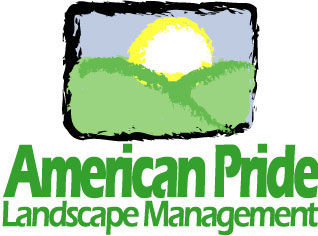 Logo Design entry 13289 submitted by chhangraphicz