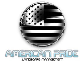 Logo Design entry 13438 submitted by huskyiulian