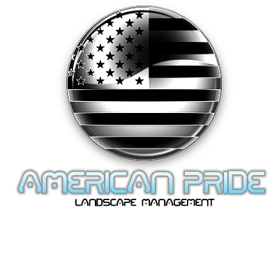 Logo Design entry 13438 submitted by huskyiulian