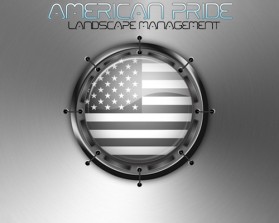 Logo Design entry 13439 submitted by huskyiulian