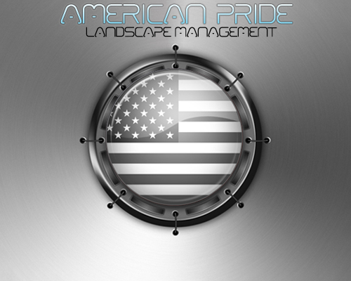 Logo Design entry 13439 submitted by huskyiulian