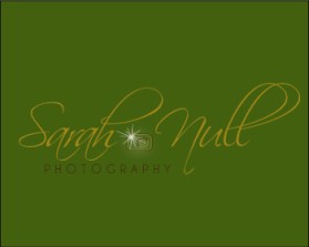 Logo Design entry 183378 submitted by petkovacic