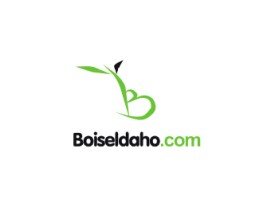 BoiseIdaho.com entry by an anonymous creative