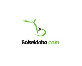 BoiseIdaho.com entry by an anonymous creative