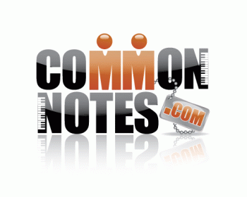 Logo Design entry 222786 submitted by raymer