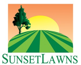 Logo Design entry 224299 submitted by redarcher2