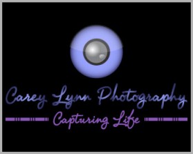 Carey Lynn Photography entry by abed_ghat